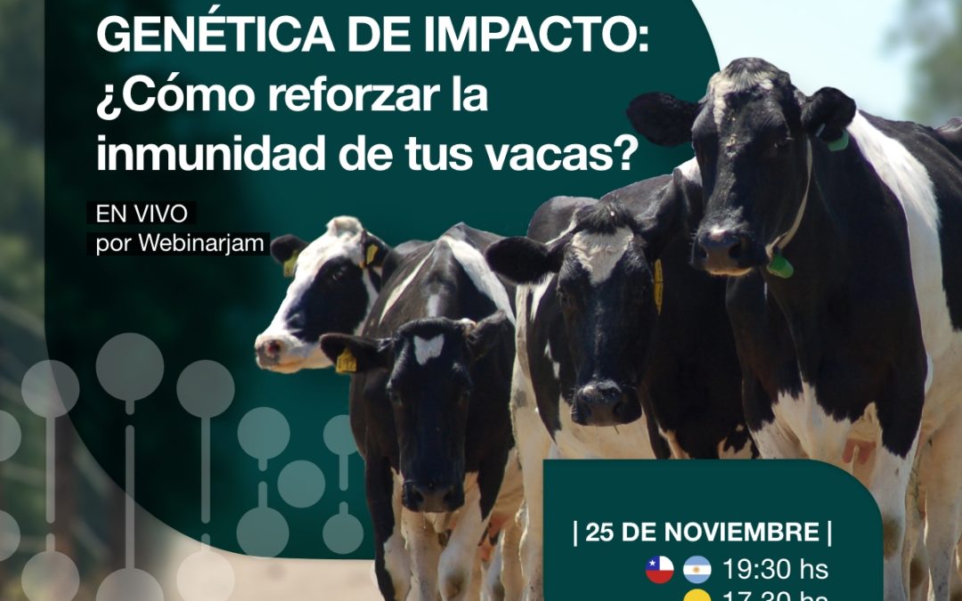 Genética de Impacto: ¿Cómo reforzar la inmunidad de tus vacas?