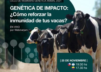 Genética de Impacto: ¿Cómo reforzar la inmunidad de tus vacas?